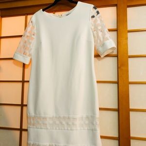 Sandra Darren white dress size 10P